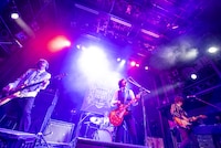 OLD BROWN OWL（撮影：釘野孝宏）