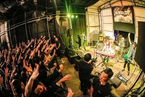 Amelie（撮影：日吉"JP"純平）