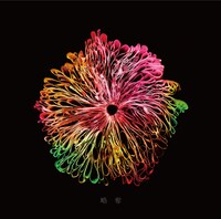 みやかわくん「略奪」ファンクラブ限定secret blue盤ジャケット