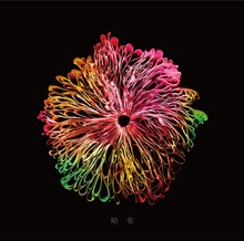 みやかわくん「略奪」ファンクラブ限定secret blue盤ジャケット