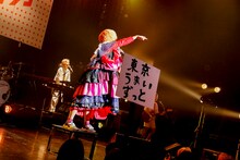 「東京コロッケ」でコロッケの被り物をしたコレサワ。（撮影：小坂茂雄）