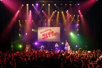 「コレサワ ワンマンツアー2018『コレでショー』～ファイナルはここでしょ～」の様子。（撮影：小坂茂雄）