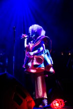 中納良恵（Vo）（撮影：仁礼博）