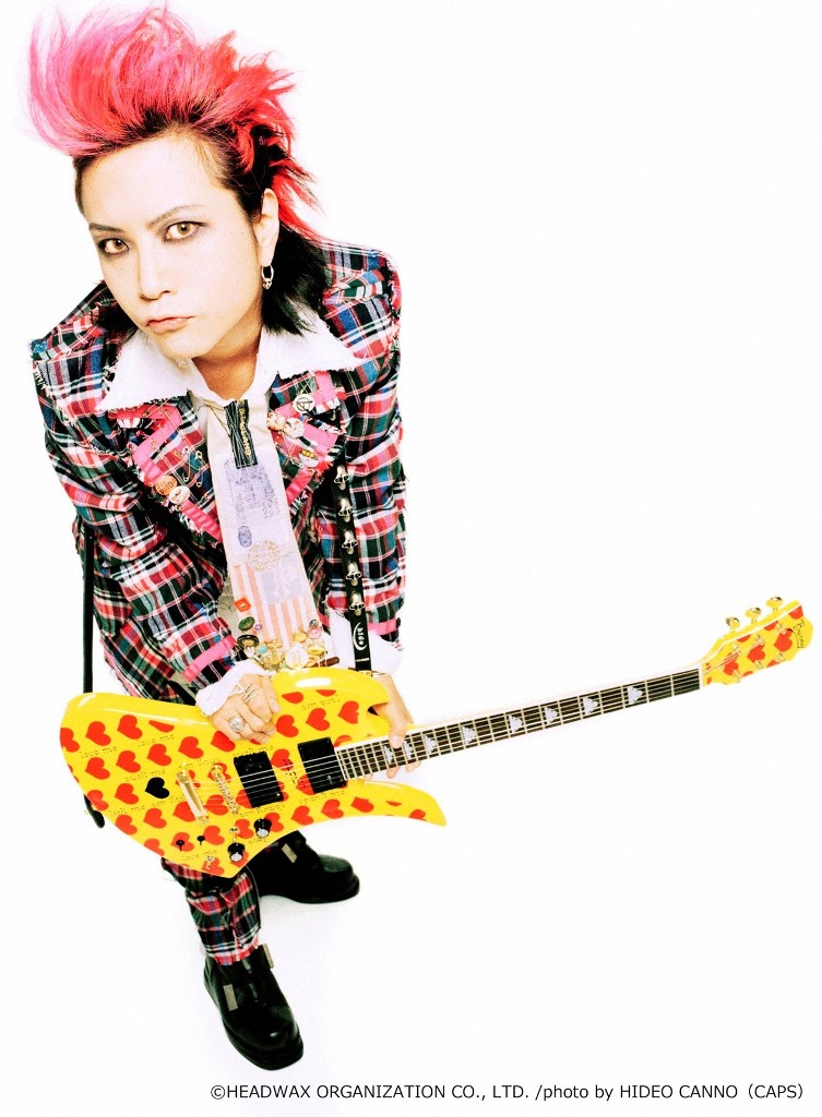 hide