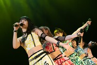 アップアップガールズ（仮）全曲ライブ2部の様子。（撮影：マツオシンジ）