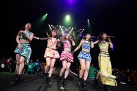 アップアップガールズ（仮）全曲ライブ2部の様子。（撮影：マツオシンジ）