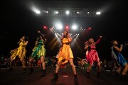 アップアップガールズ（仮）全曲ライブ3部の様子。（撮影：マツオシンジ）