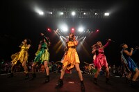 アップアップガールズ（仮）全曲ライブ3部の様子。（撮影：マツオシンジ）