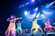 アップアップガールズ（仮）全曲ライブ3部の様子。（撮影：マツオシンジ）