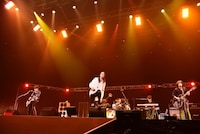 THE YELLOW MONCHHICHI2