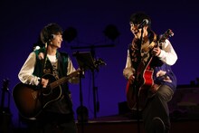 さくらしめじ（撮影：大庭元）