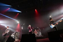 夜の本気ダンス