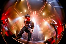 PENGUIN RESEARCH（Photo by Viola Kam[V'z Twinkle]）