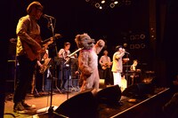 ワッツタワーズ