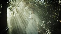 Aimer「I beg you」MVのワンシーン。