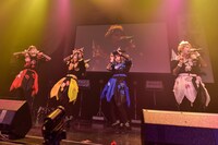 二丁目の魁カミングアウト