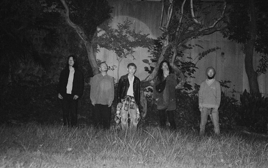 踊ってばかりの国、山田智和が監督務めた新曲MV公開「新しい希望を世の中に」