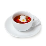 白く咲く花「ホットティー」