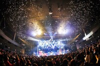 Royzのライブの様子。