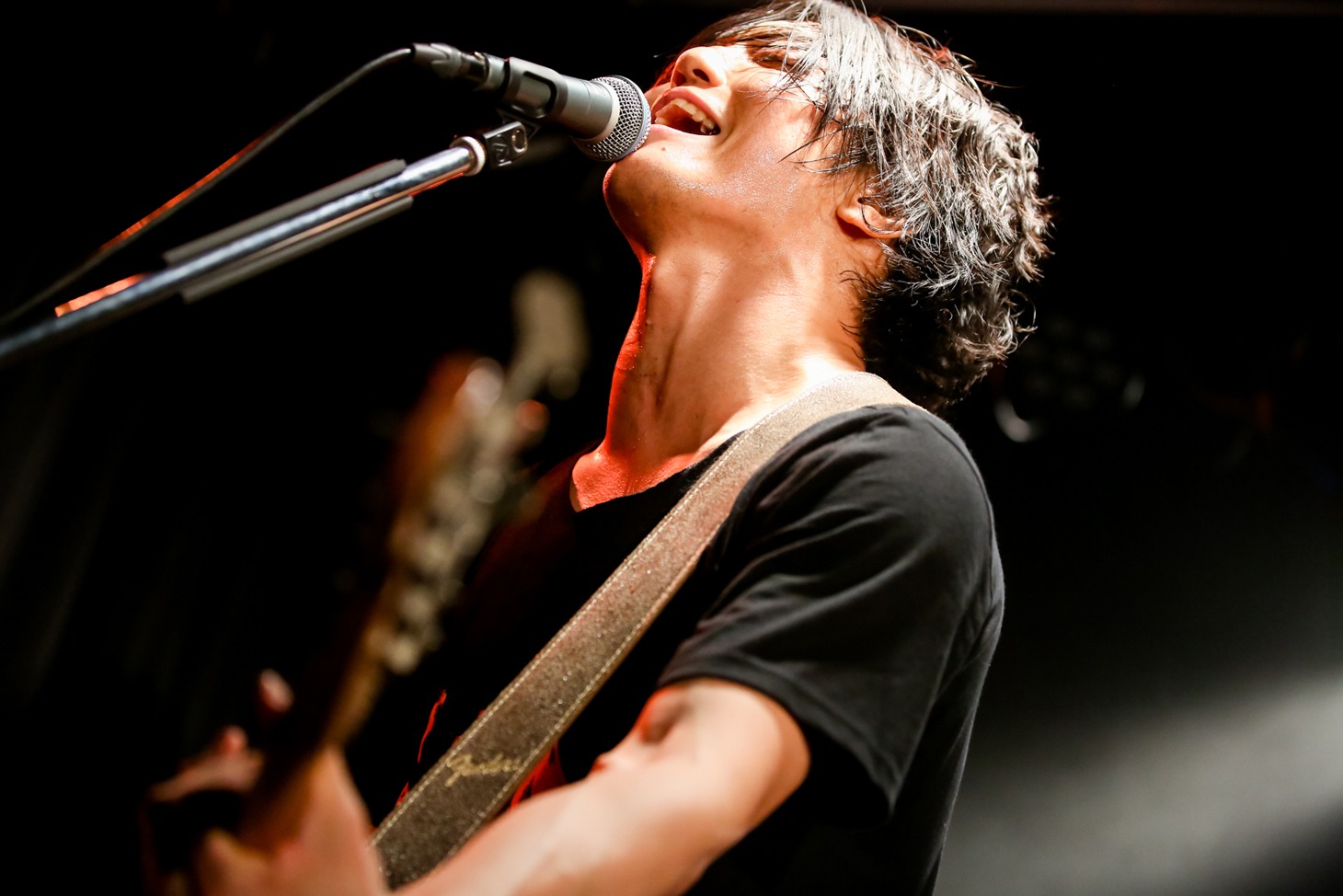 田淵智也（B）（Photo by Viola Kam [V'z Twinkle]）