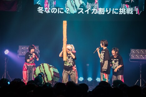 冬なのにすいか割りに挑戦するようなぴ。（撮影：曽我美芽）