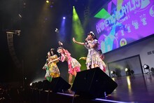 「A応P 3rd LIVE TOUR 2018-2019 ANIMETIC PLAYLIST えーおうぴーの こうげき！」東京・ステラボール公演の様子。