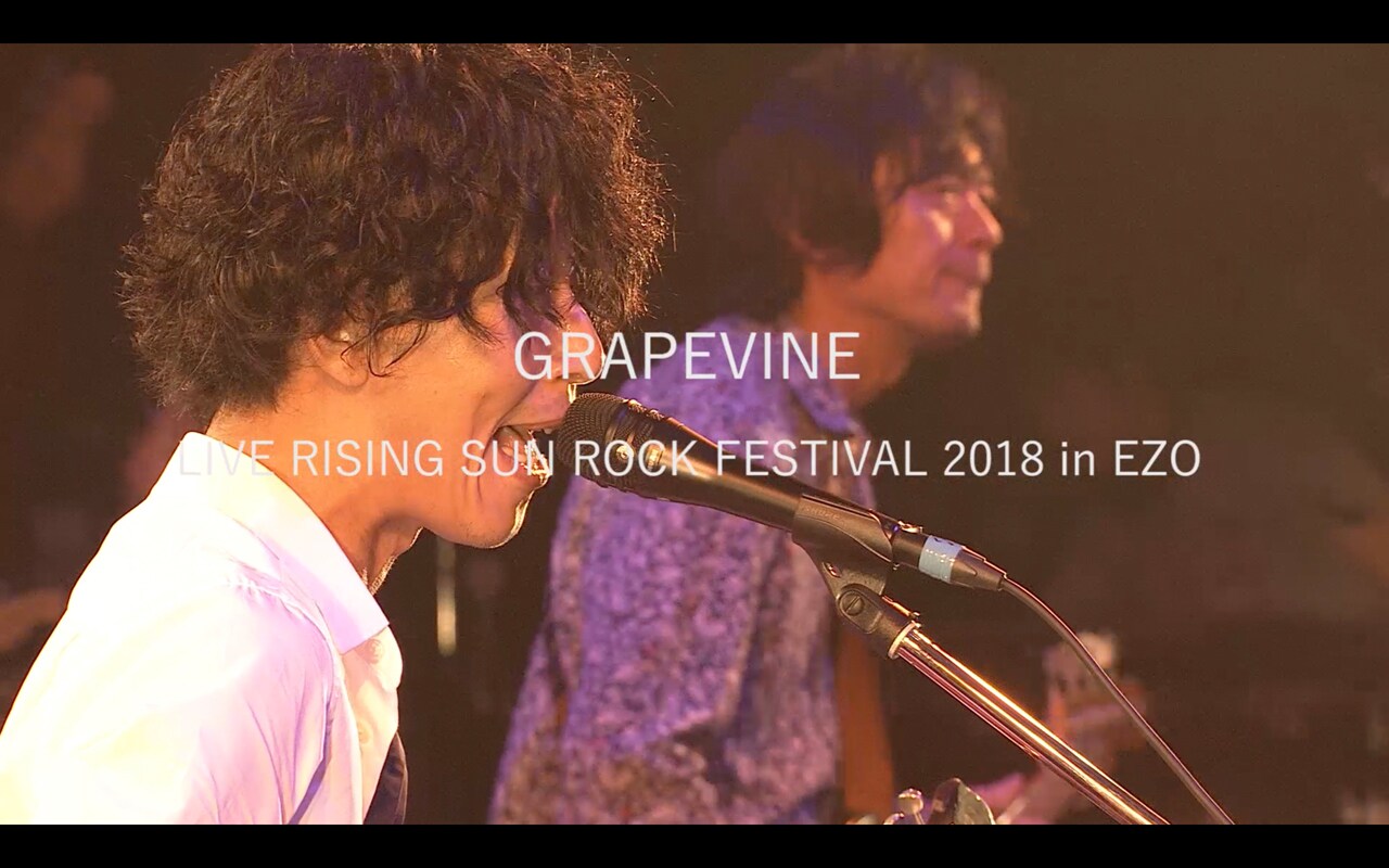 GRAPEVINE、新作に「RSR」のライブ映像9曲