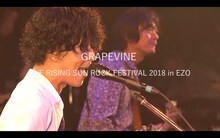 GRAPEVINE「ALL THE LIGHT」初回限定盤に付属するDVD「GRAPEVINE LIVE RISING SUN ROCK FESTIVAL 2018 in EZO」のワンシーン。