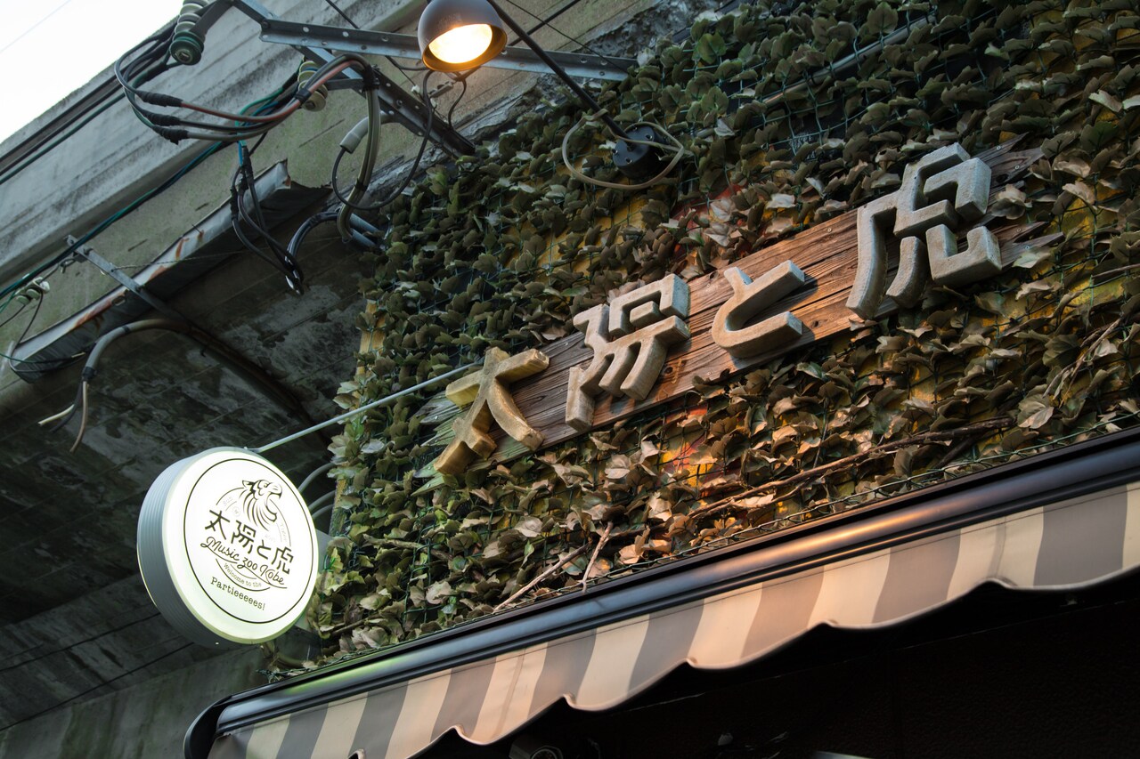 兵庫・MUSIC ZOO KOBE 太陽と虎