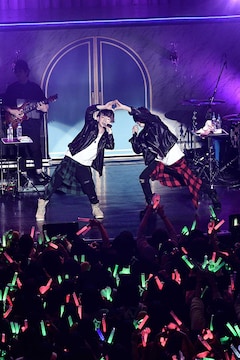 うらたぬき あほの坂田 王子様になってフィアンセを探す熱狂の一夜 ライブレポート 写真10枚 音楽ナタリー