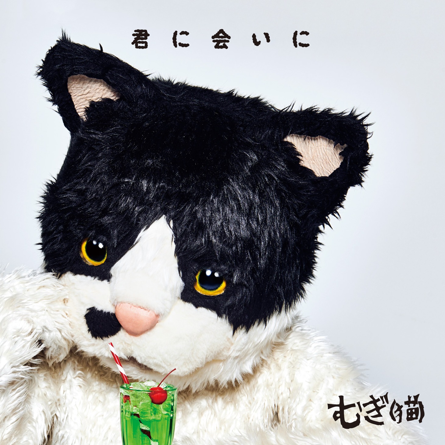 むぎ（猫）「君に会いに」通常盤ジャケット