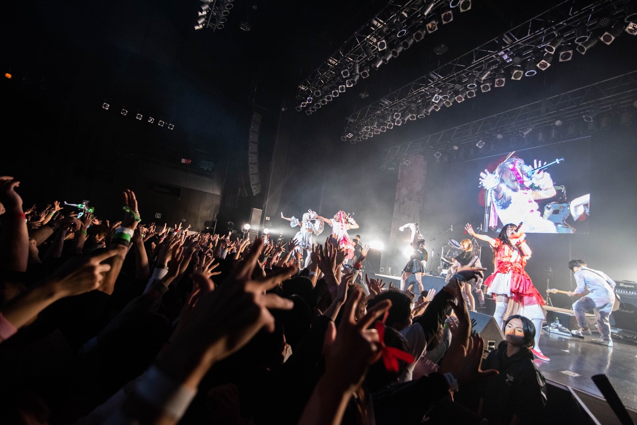 ぜんぶ君のせいだ。「ぜんぶ君のせいだ。ワンマンLIVE～革鳴共唱～」の模様。（撮影：関上貴也）