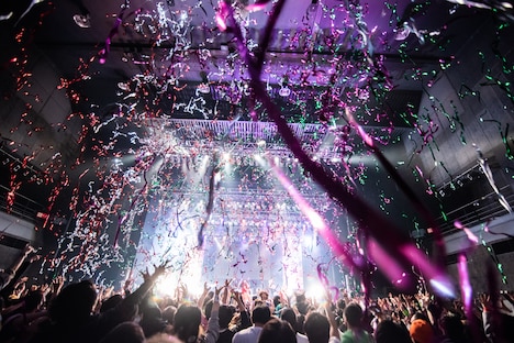 ぜんぶ君のせいだ。「ぜんぶ君のせいだ。ワンマンLIVE～革鳴共唱～」の模様。（撮影：関上貴也）