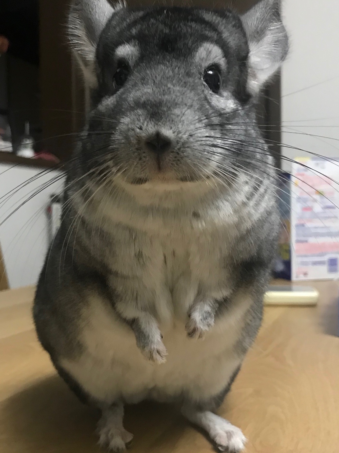 まっちゃ