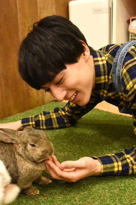 うさぎとふれあうユースケ。