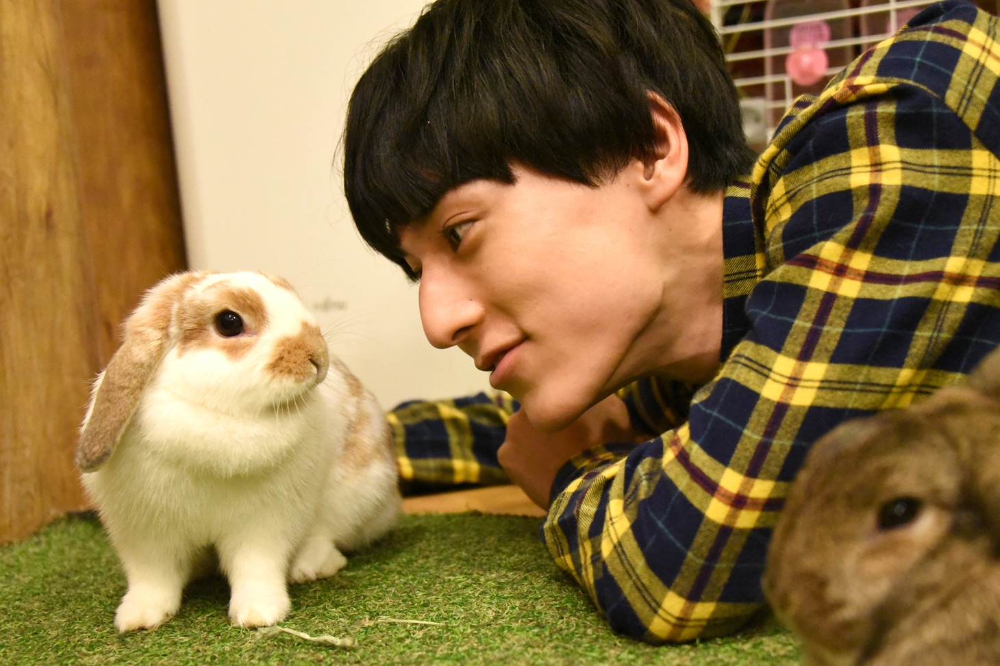 うさぎと遊ぶユースケ（中央）。
