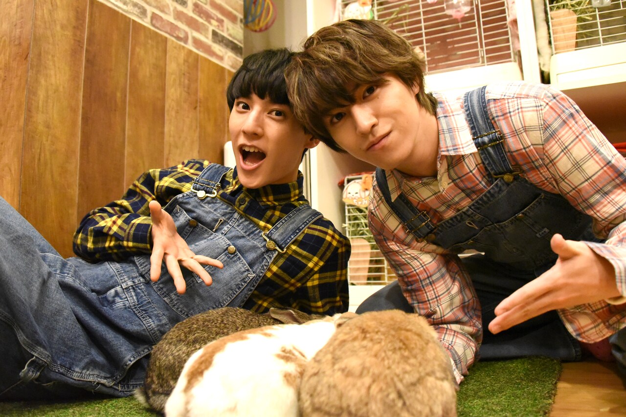 うさぎと戯れる超特急ユースケ＆タカシ、森久保祥太郎最新ライブツアーを今夜紹介