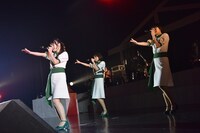 Negicco