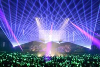 うらたぬきのソロパフォーマンスの様子。