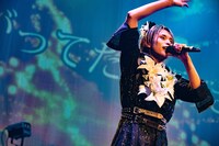 白鳥白鳥（撮影：タマイシンゴ）