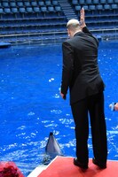 イルカに合図する関口メンディー。