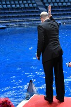 イルカに合図する関口メンディー。