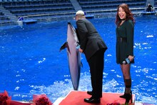 イルカと握手する関口メンディー（中央）と、驚くLiLiCo（右）。