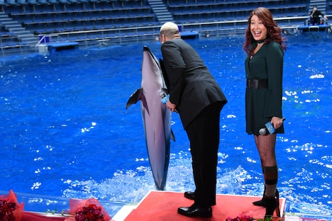 イルカと握手する関口メンディー(中央)と、驚くLiLiCo(右)。