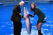 イルカと握手する関口メンディー（左）、LiLiCo（右）。