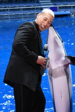 イルカと握手する関口メンディー。