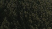 LUCKY TAPES「MOOD」ミュージックビデオ ディレクター&アーティストカット版のワンシーン。