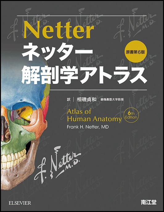 「ネッター解剖学アトラス 原書第6版」表紙