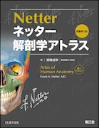 「ネッター解剖学アトラス 原書第6版」表紙
