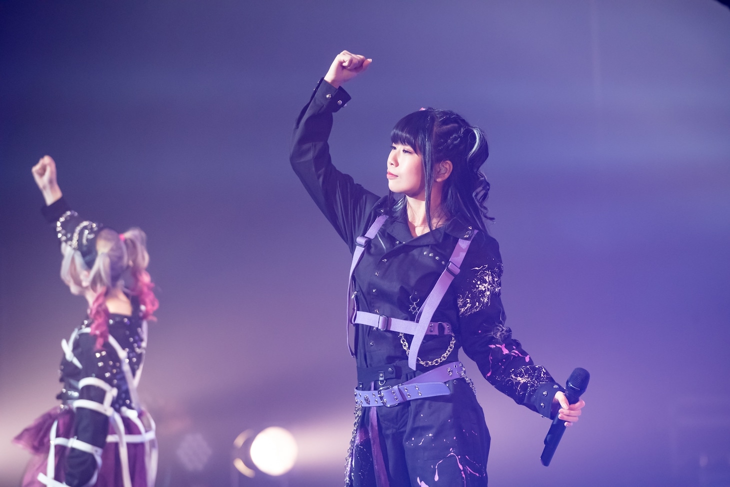 けちょん（Photo by shinz）
